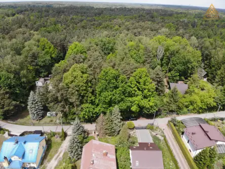 łoś ,  Podleśna   2