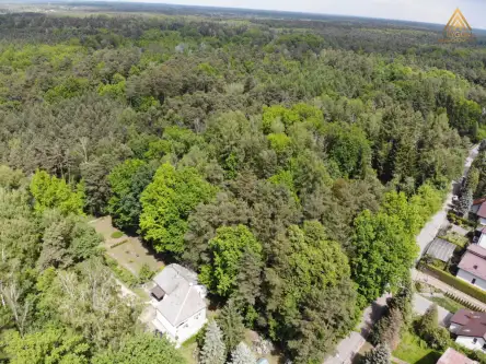 łoś ,  Podleśna   3