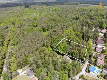 łoś ,  Podleśna   4