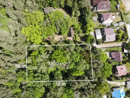 łoś ,  Podleśna   5