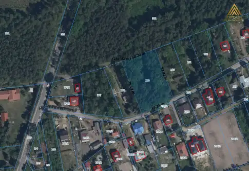 łoś ,  Podleśna   6