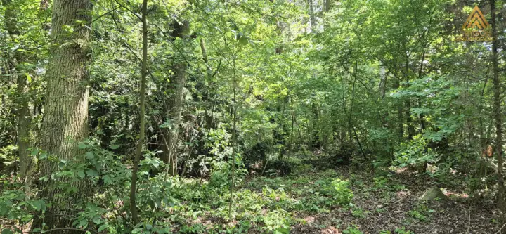 łoś ,  Podleśna   9