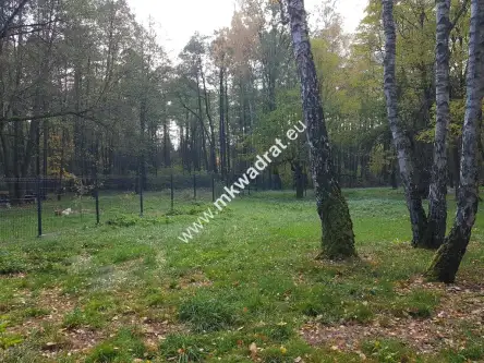 Budy mszczonowskie   2