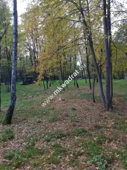 Budy mszczonowskie   5