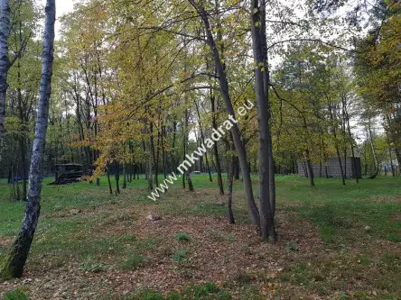 Budy mszczonowskie   6