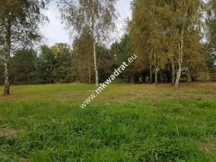 Radziejowice-parcel   2