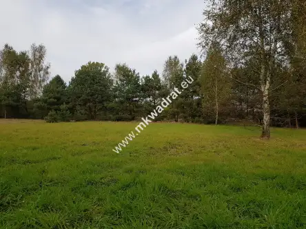 Radziejowice-parcel   3