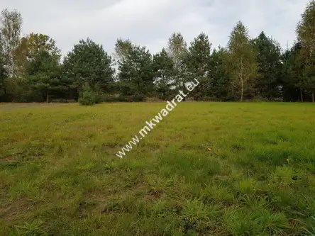 Radziejowice-parcel   4