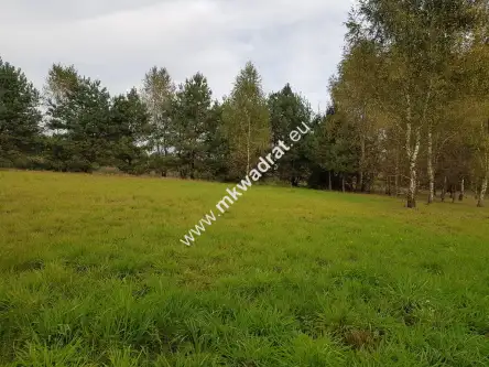 Radziejowice-parcel   5