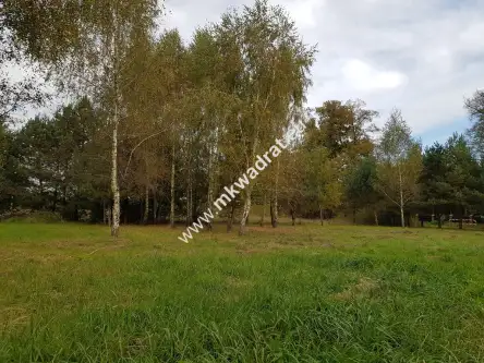 Radziejowice-parcel   6