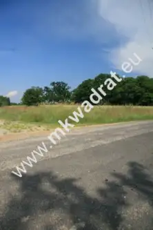 Pieńki zarębskie   3