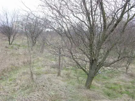 Wejherowo ,  Polna   3