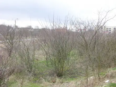 Wejherowo ,  Polna   8