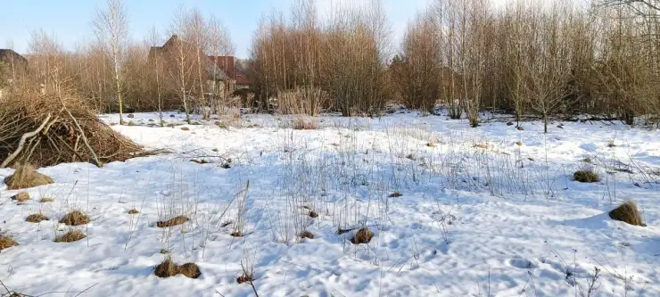 Kowalewo ,  Wiśniowa   10