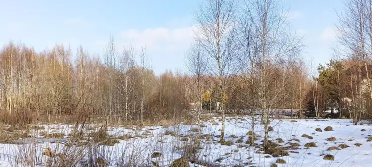 Kowalewo ,  Wiśniowa   13