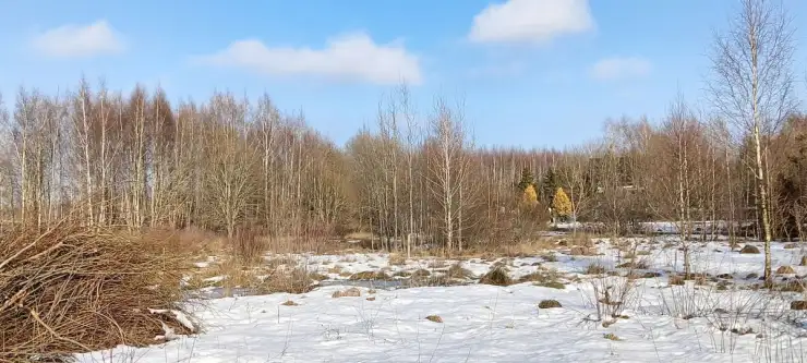 Kowalewo ,  Wiśniowa   14