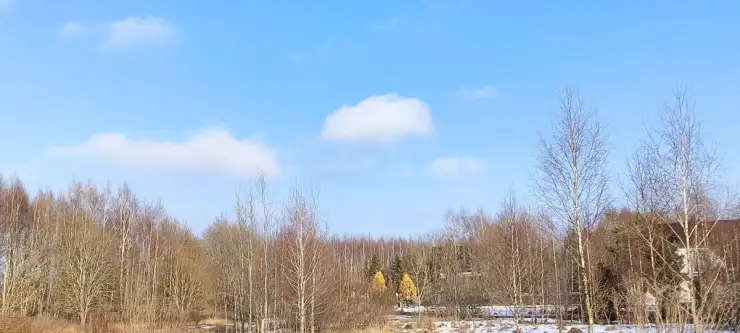 Kowalewo ,  Wiśniowa   15