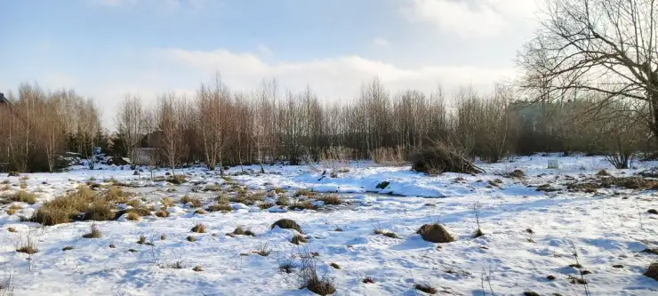 Kowalewo ,  Wiśniowa   6