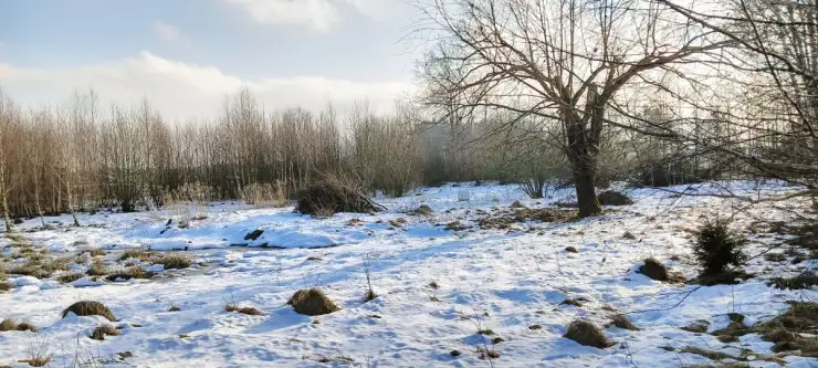 Kowalewo ,  Wiśniowa   9