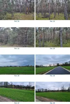 Międzyrzecz ,  Konstytucji 3 Maja   5