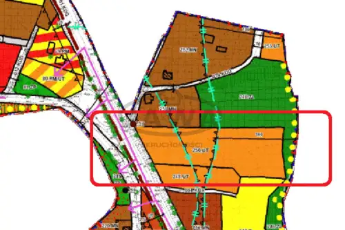 Osiek ,  Olszynka   6