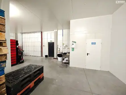 Konstancin-jeziorna   5