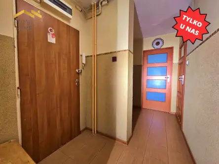 Kraków ,  Leonida Teligi   15