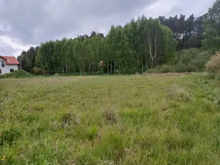 Leźno ,  Jagodowe Wzgórze   4