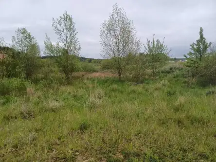 Leźno ,  Jagodowe Wzgórze   7