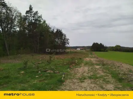 Dębnica kaszubska ,  Parkowa   2