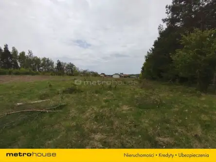 Dębnica kaszubska ,  Parkowa   3