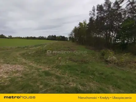 Dębnica kaszubska ,  Parkowa   4