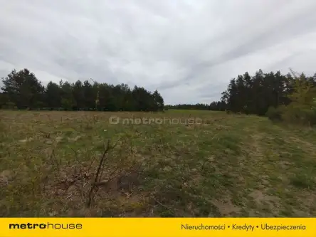 Dębnica kaszubska ,  Parkowa   5