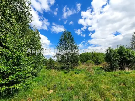  Ignatki   Słoneczna 