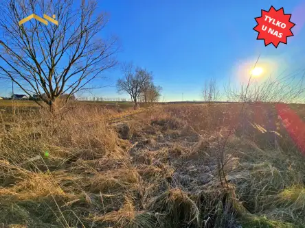 Kraków ,  Węgrzynowicka   6