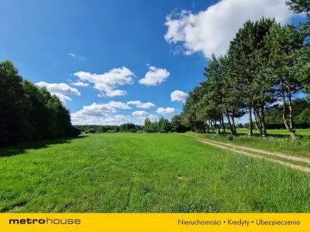 Sławacinek stary   10