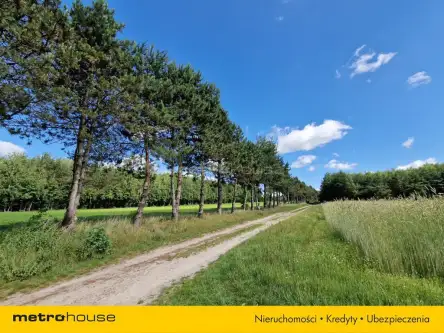 Sławacinek stary   11