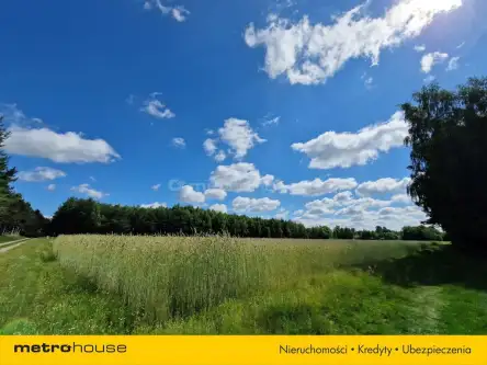 Sławacinek stary   12