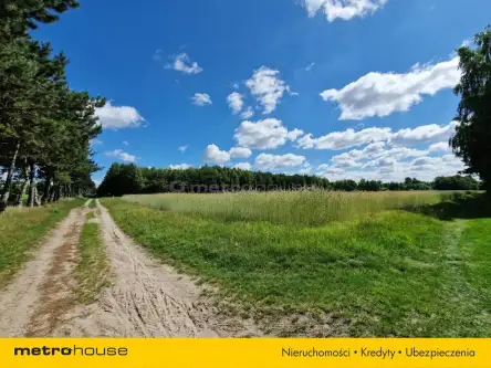 Sławacinek stary   13