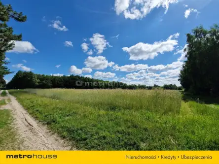 Sławacinek stary   14