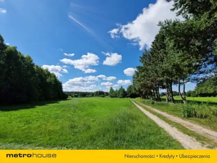 Sławacinek stary   15