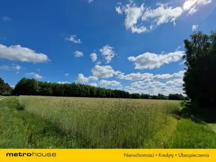 Sławacinek stary   16