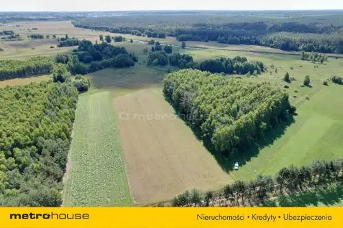 Sławacinek stary   2