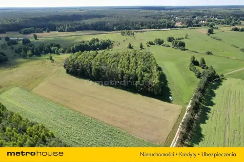 Sławacinek stary   3