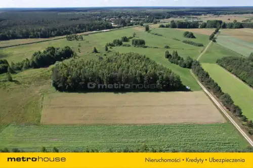 Sławacinek stary   4