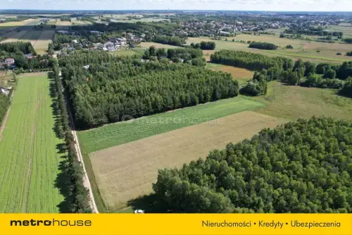 Sławacinek stary   6