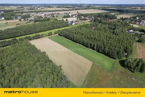 Sławacinek stary   7