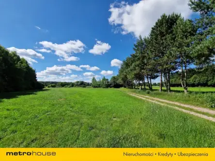 Sławacinek stary   9