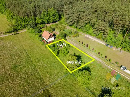 Pluski ,  Lawendowa   2