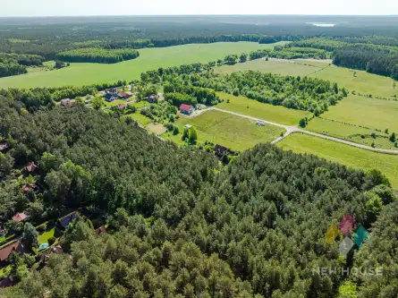 Pluski ,  Lawendowa   4